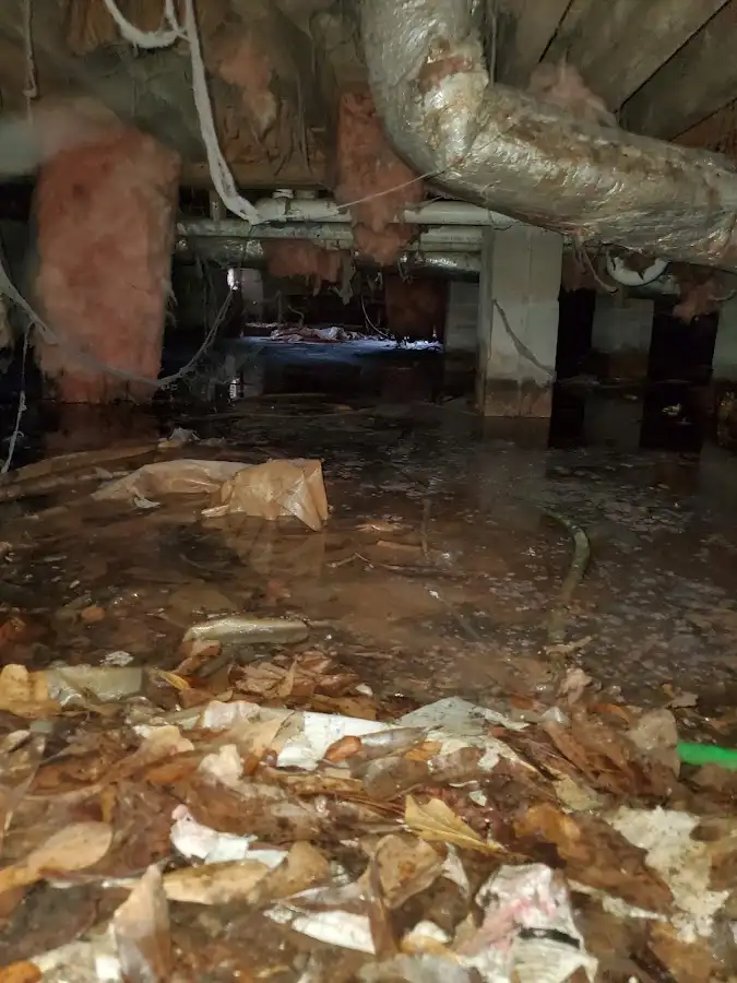 Crawl space flood assessment for Leak Detection & Repair in Prichard
