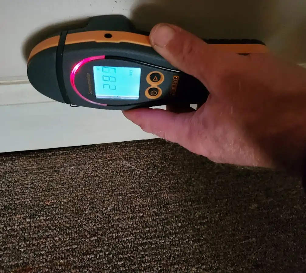 Moisture detection at baseboard during Mold Inspection & Testing in Prichard